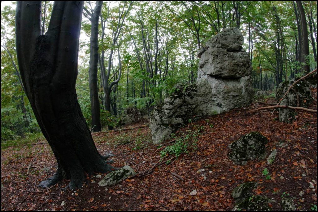 Formacja skalna na Januszkowej Górze