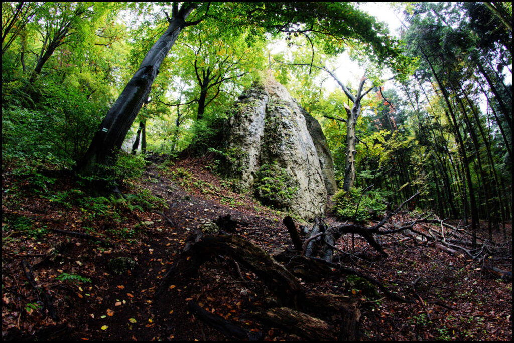 Formacja skalna na Januszkowej Górze