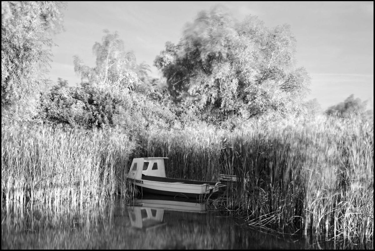 zdjęcie czarno-białe