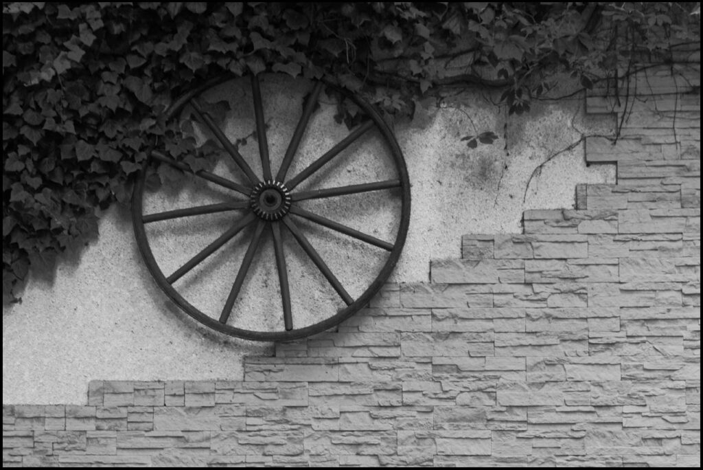 fotografia czarno=biała