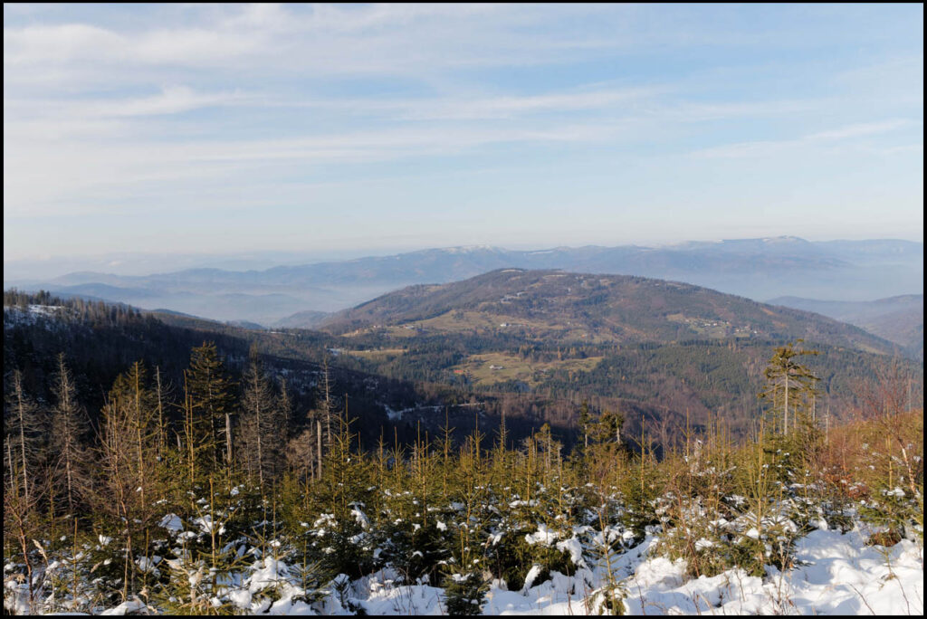 Widok z północnego zbocza góry - Wycieczka na Rysiankę