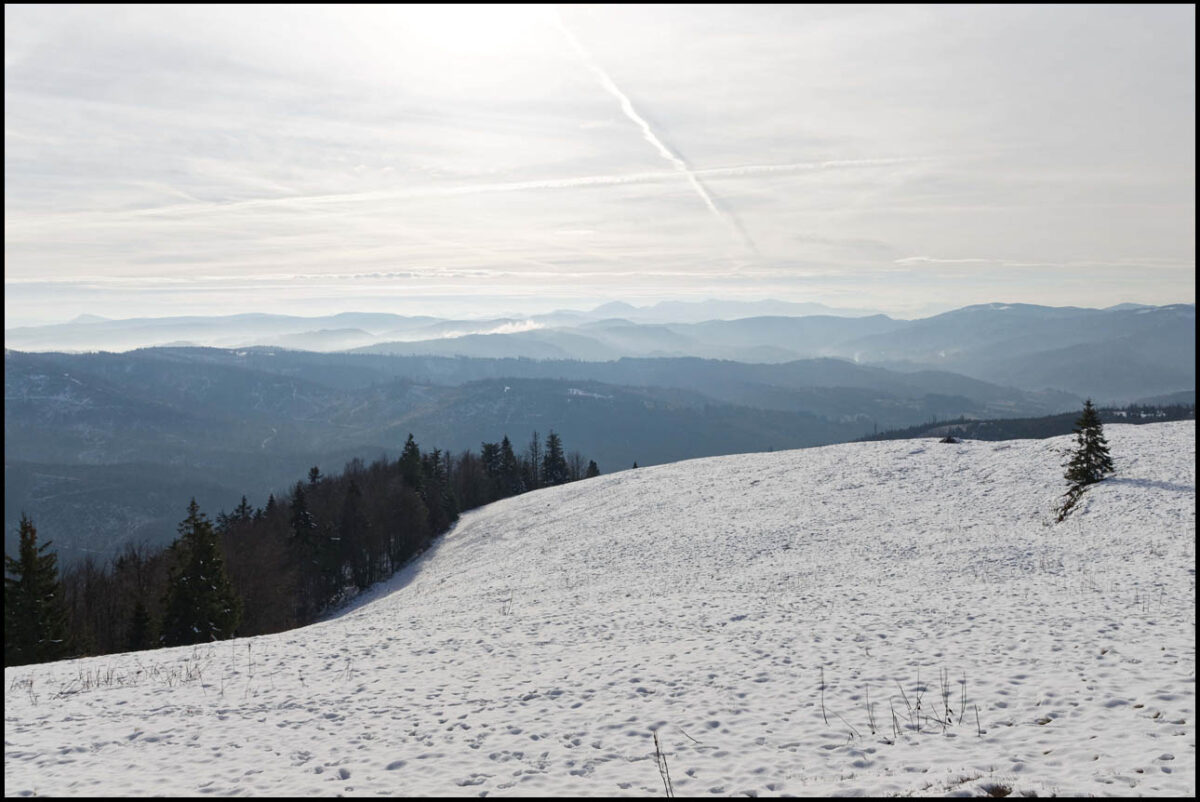 Widok z Hali Lipowskiej