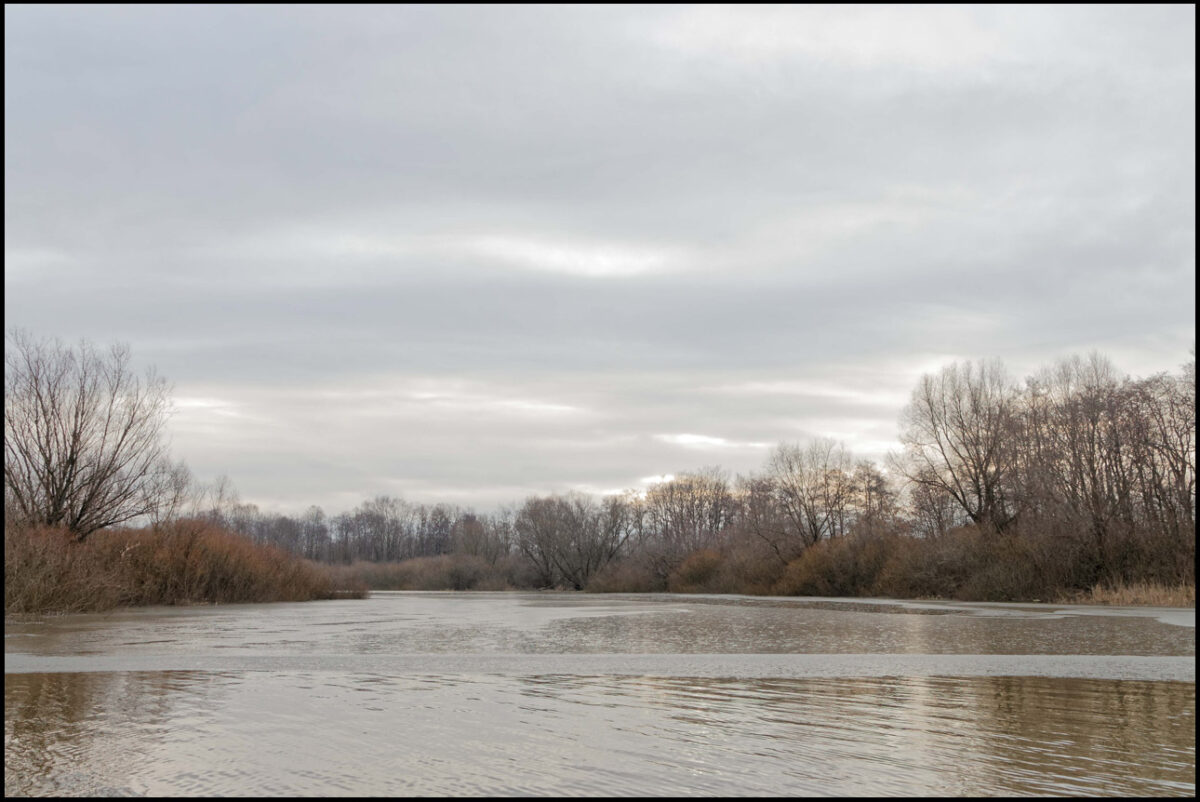 Złota godzina - Przeczyce