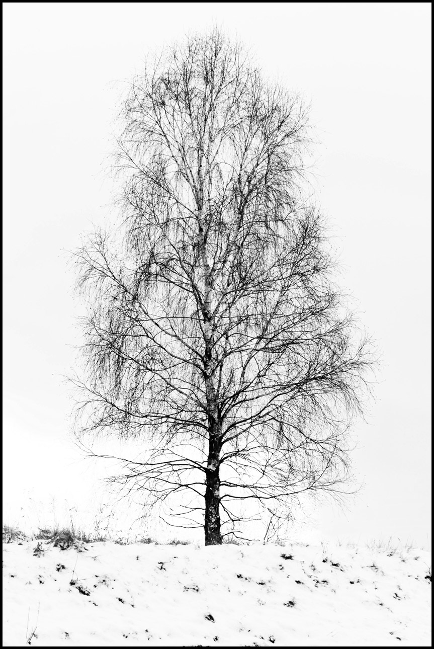 Fotografia - sztuka wyboru