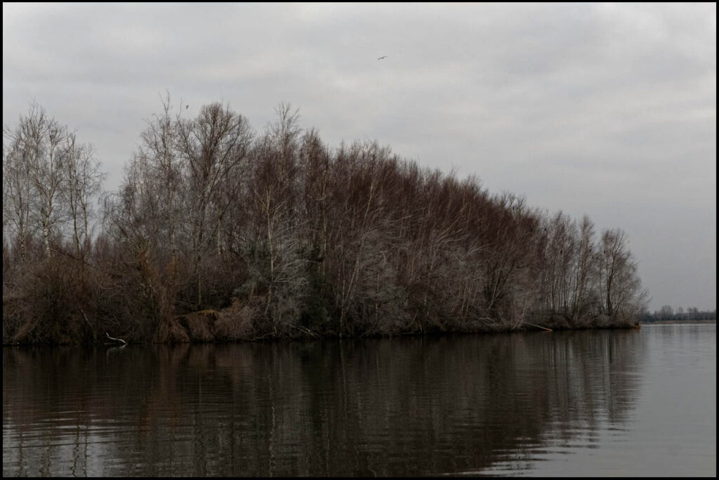 szaruga, która  zastąpiła piękne barwy zachodzącego słońca