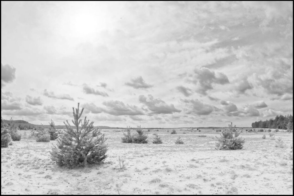 Pustynia Błędowska