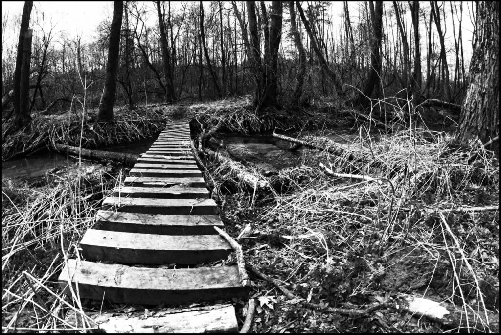 Biała Przemsza - mostek