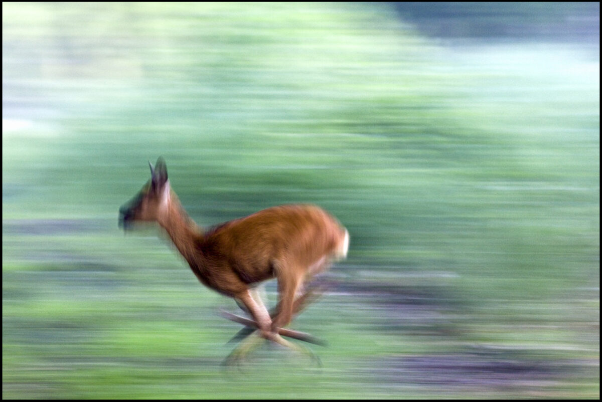 uciekła mi ostrość
