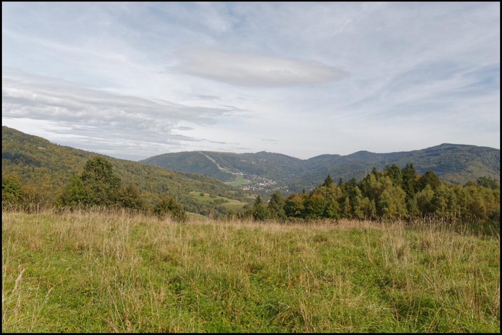 Widok z zielonego szlaku