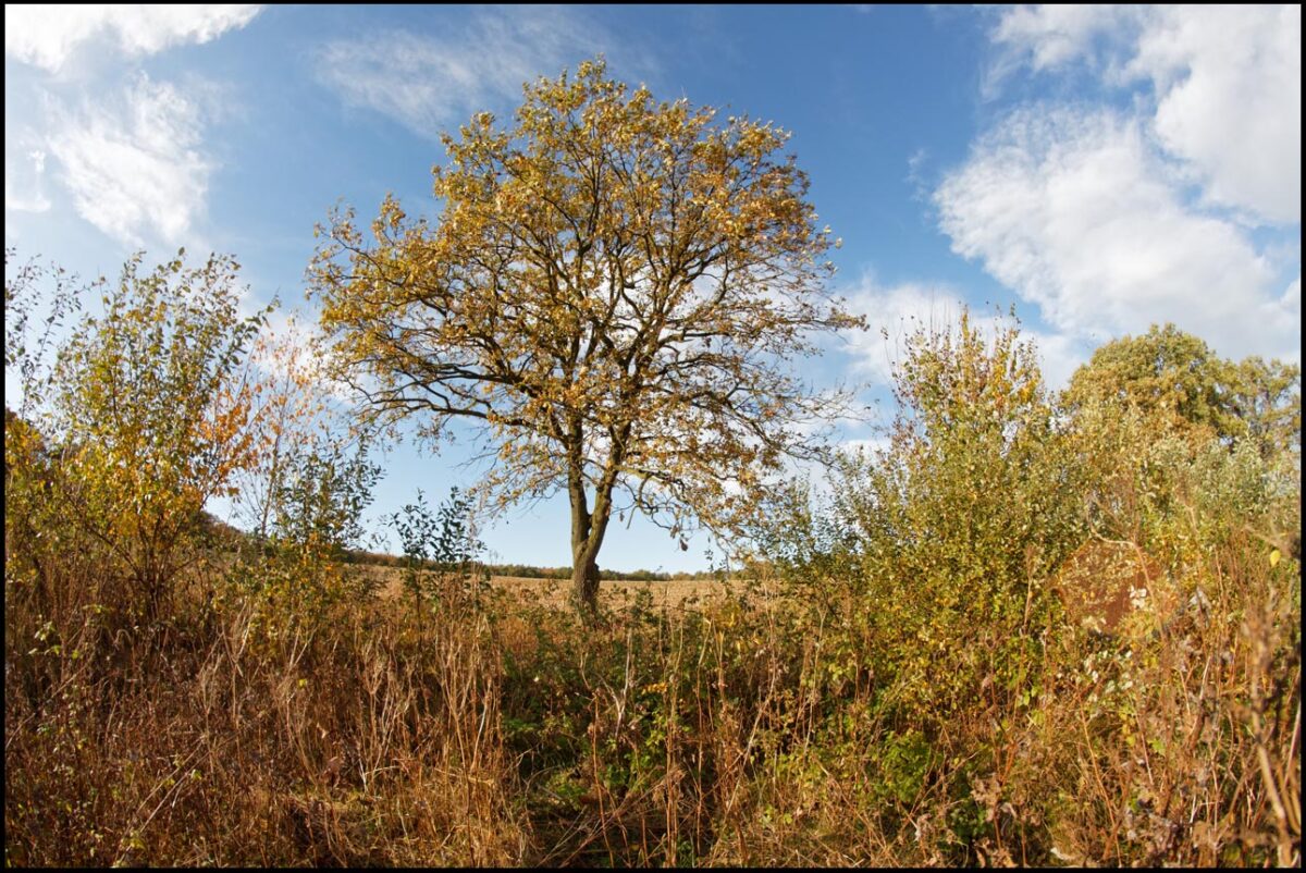 spacer fotograficzny