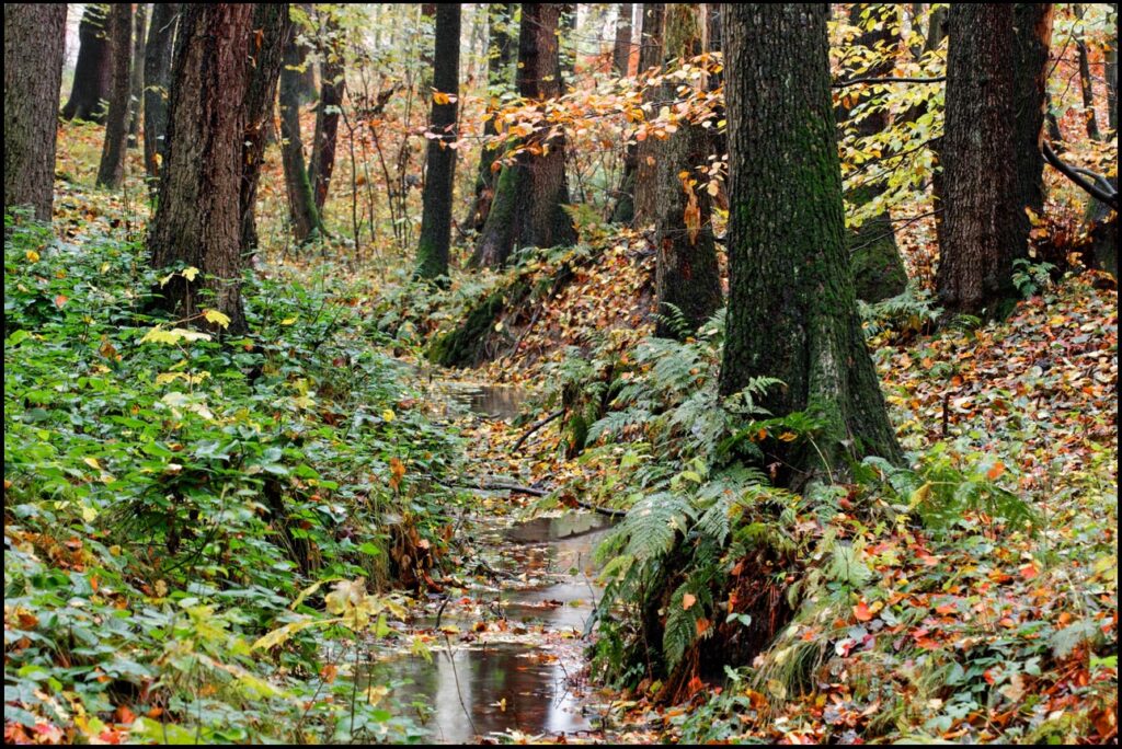 rzeczka - tryptyk rzeczny