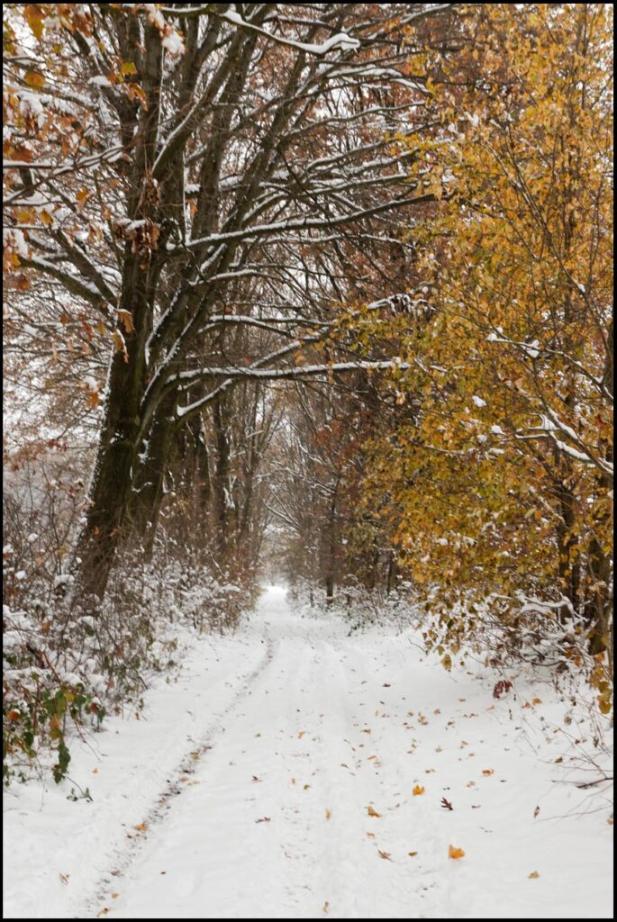 zimowy spacer fotograficzny