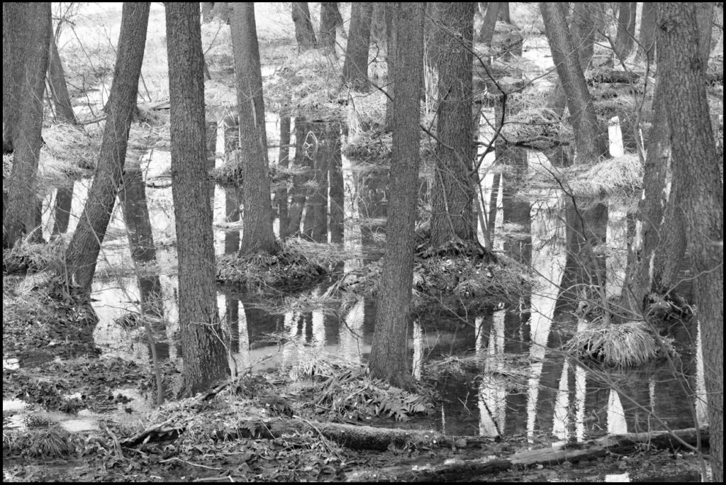 fotografia krajobrazowa w wydaniu mikro