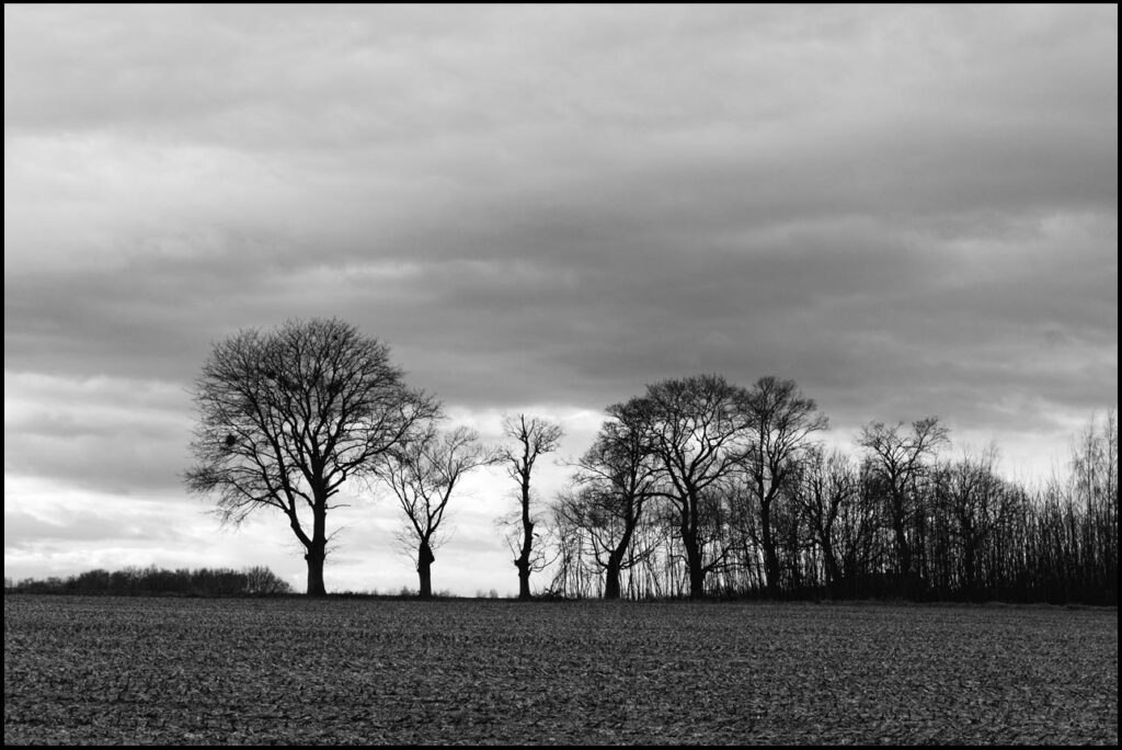 fotografia krajobrazowa w drodze na foto miejscówkę