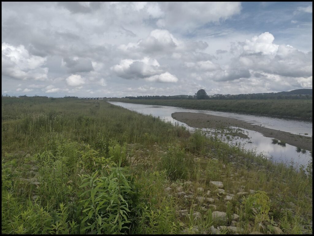 Racibórz - Kanał Ulgi