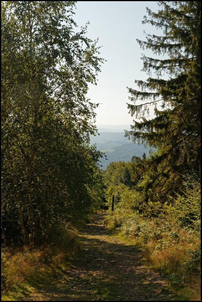 Soszów Wielki