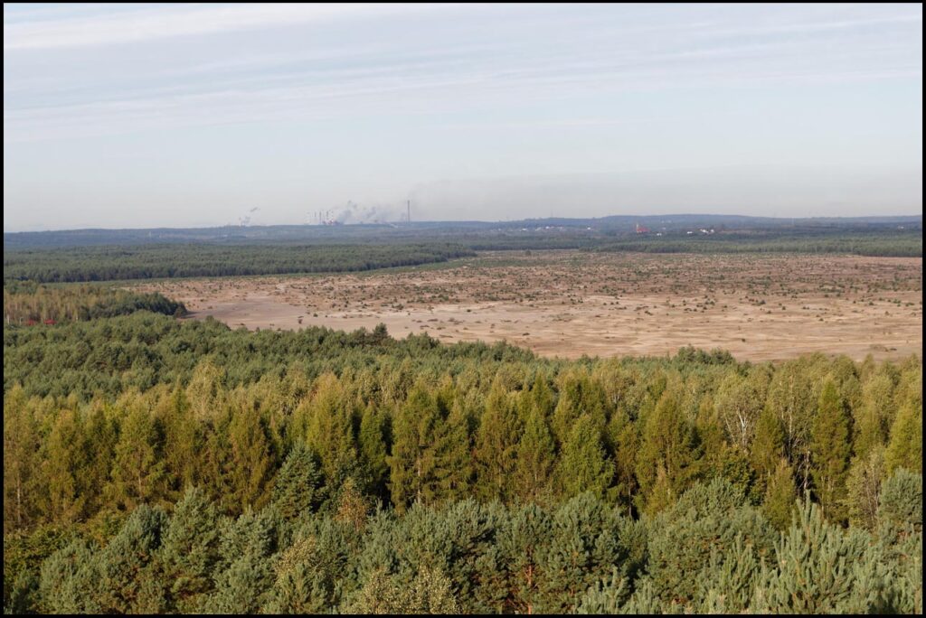 pustynia błędowska