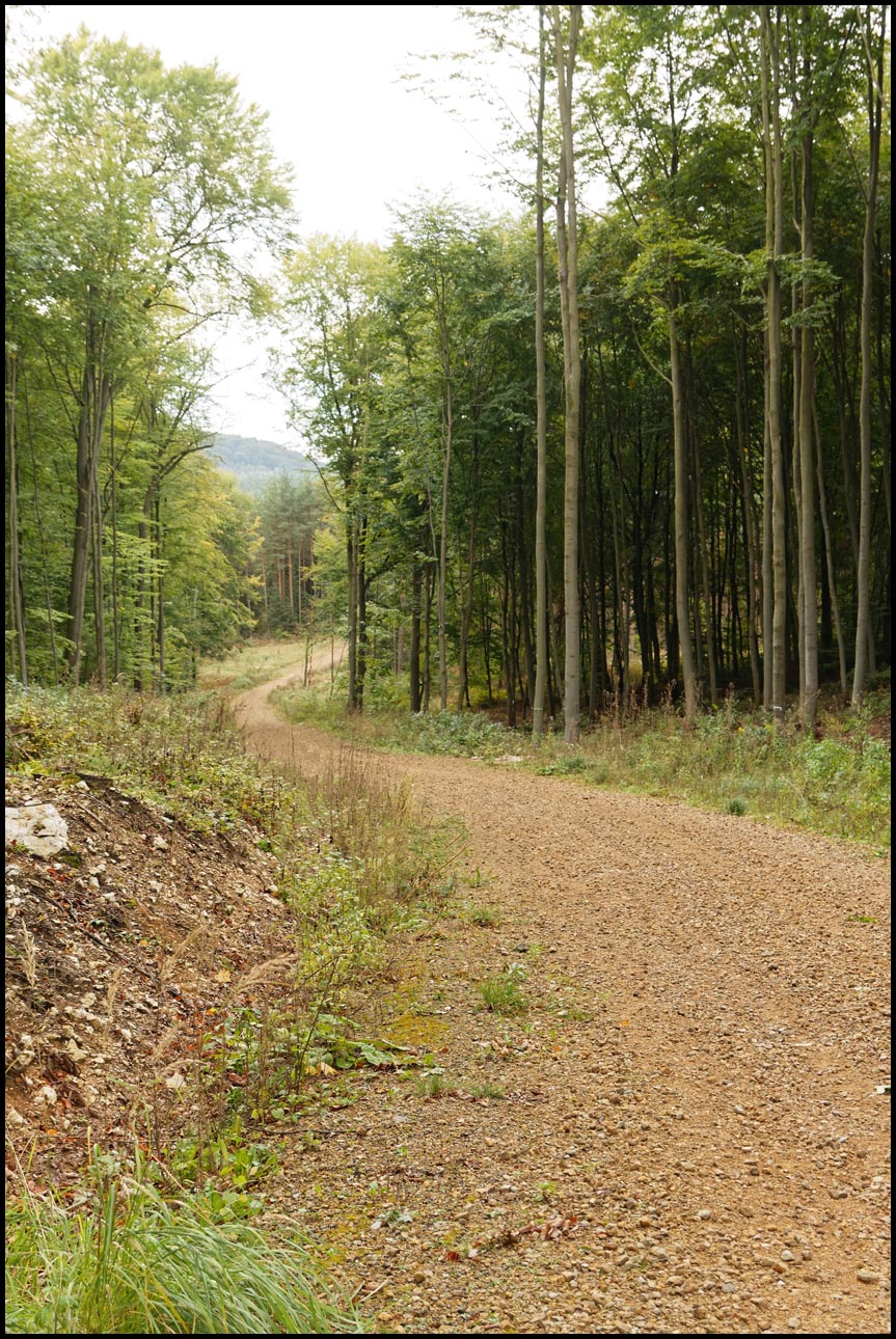 W drodze żółtym szlakiem