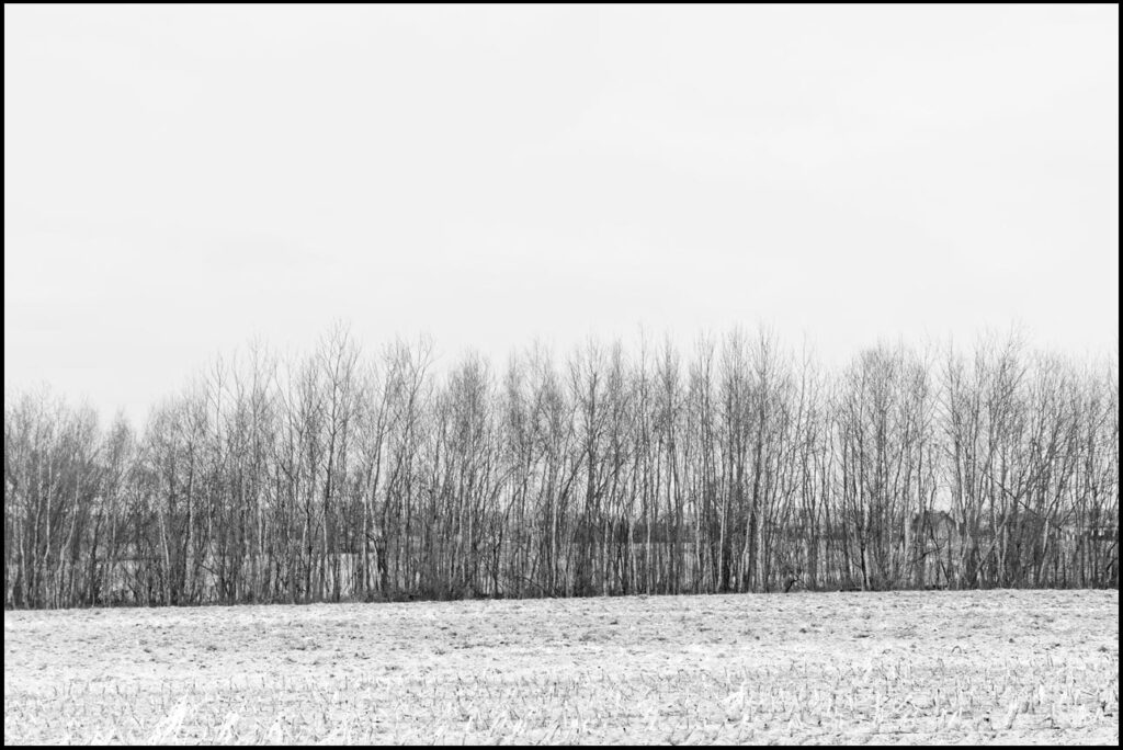symetria w fotografii