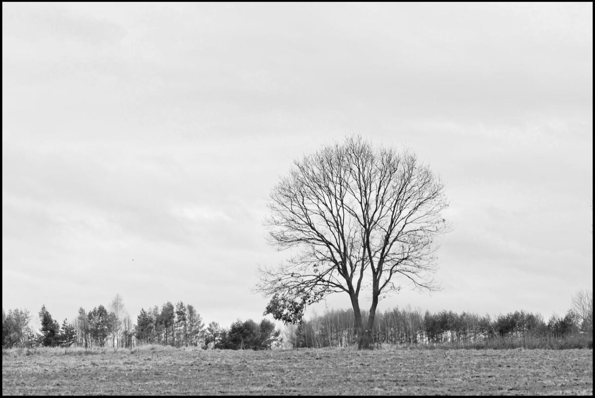 zdjęcia czarno białe