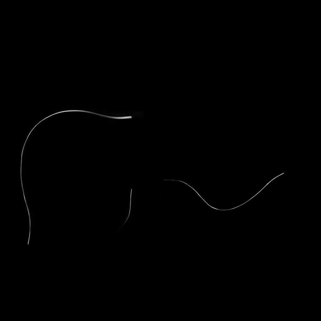 Papierowa Dama No. 3